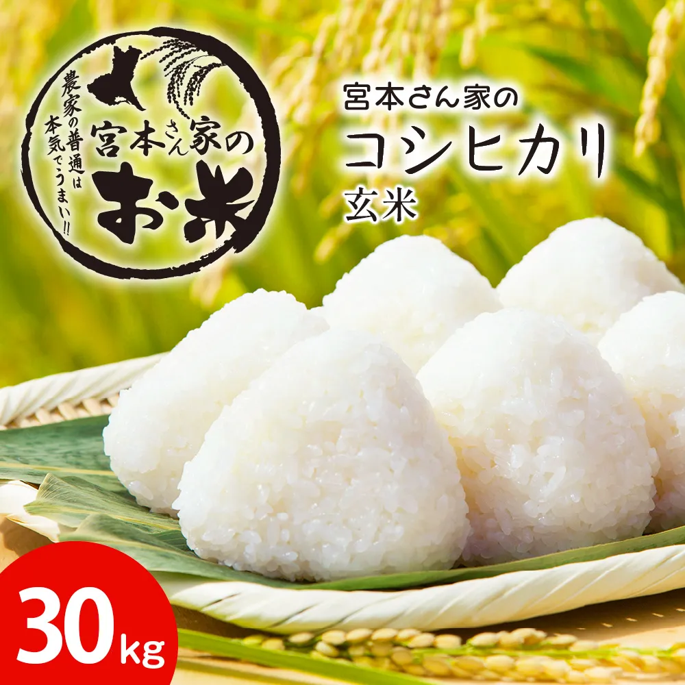 新米【令和8年産】茨城県稲敷市産 宮本さん家のこしひかり 【玄米】30kg (1袋)｜米 おこめ コシヒカリ 玄米 農家直送 直送 茨城県 [2848]