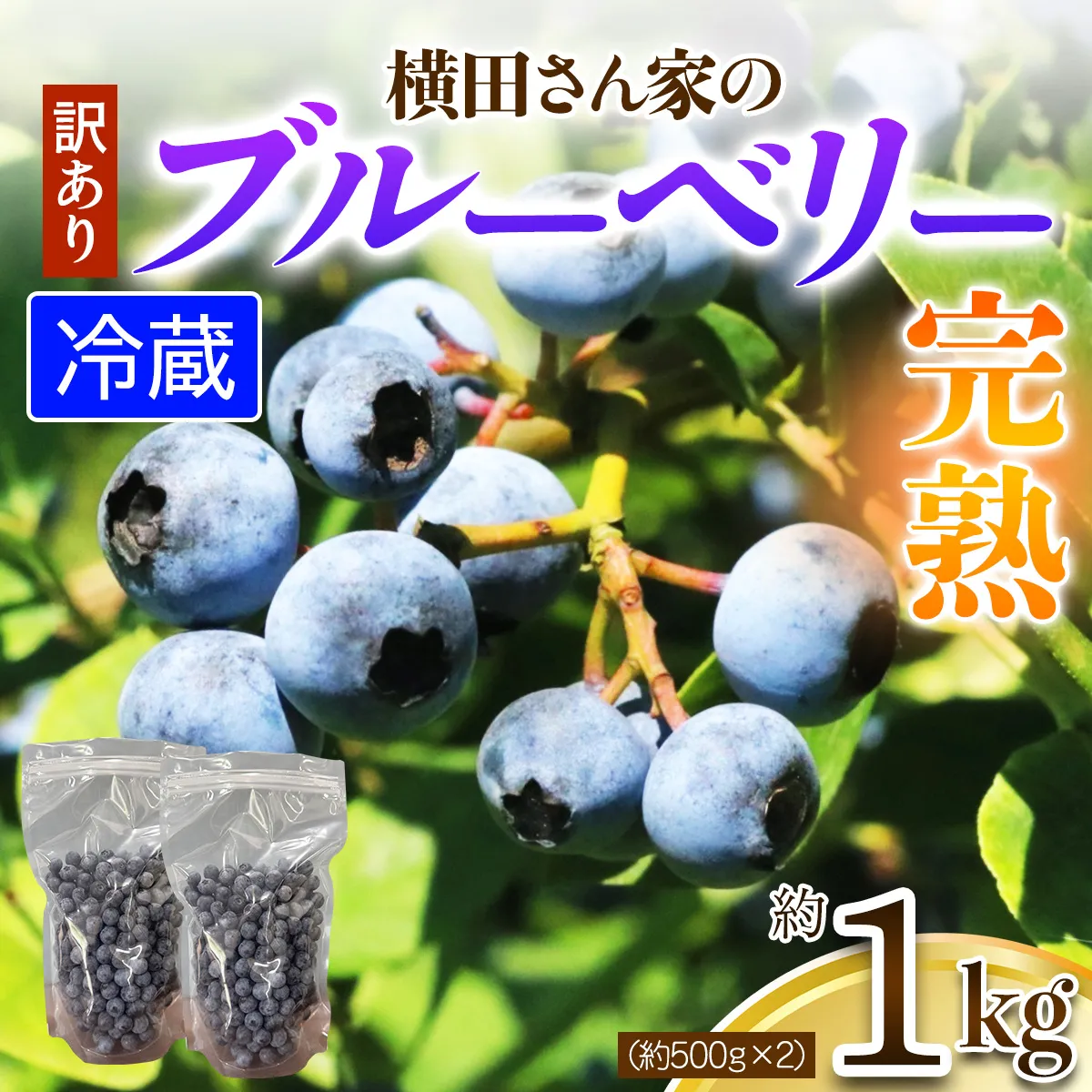 【訳あり】横田さん家の完熟ブルーベリー 約1kg (約500g×2)｜フルーツ 果物 くだもの スムージー ジャム ヨーグルト [2330]