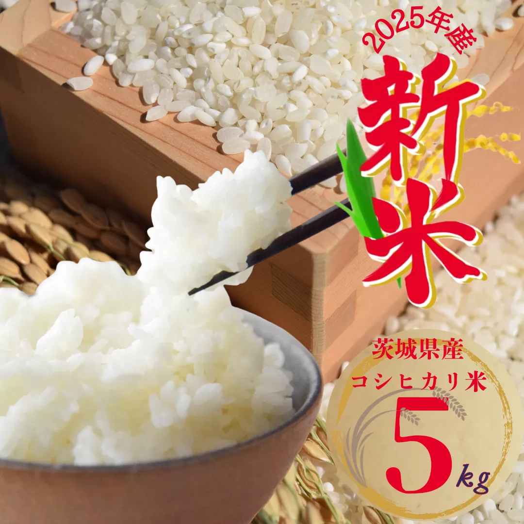 予約 2025年新米 茨城県産 コシヒカリ米(精米)5kg【1620168】