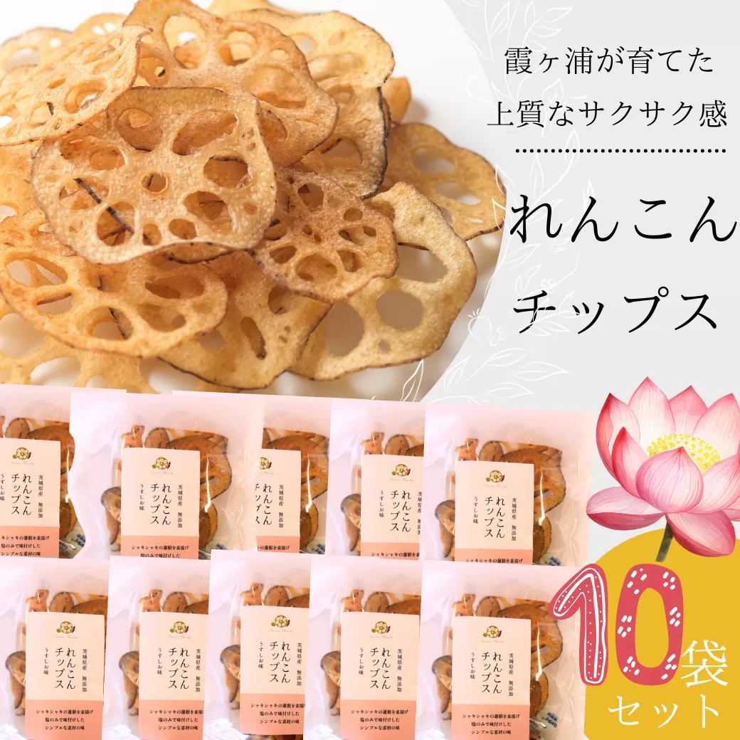 れんこん チップス 10袋 セット レンコン【1731235】