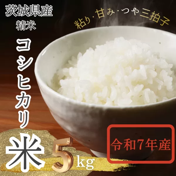 2025年新米 茨城県産 コシヒカリ米(精米)5kg【1620168】
