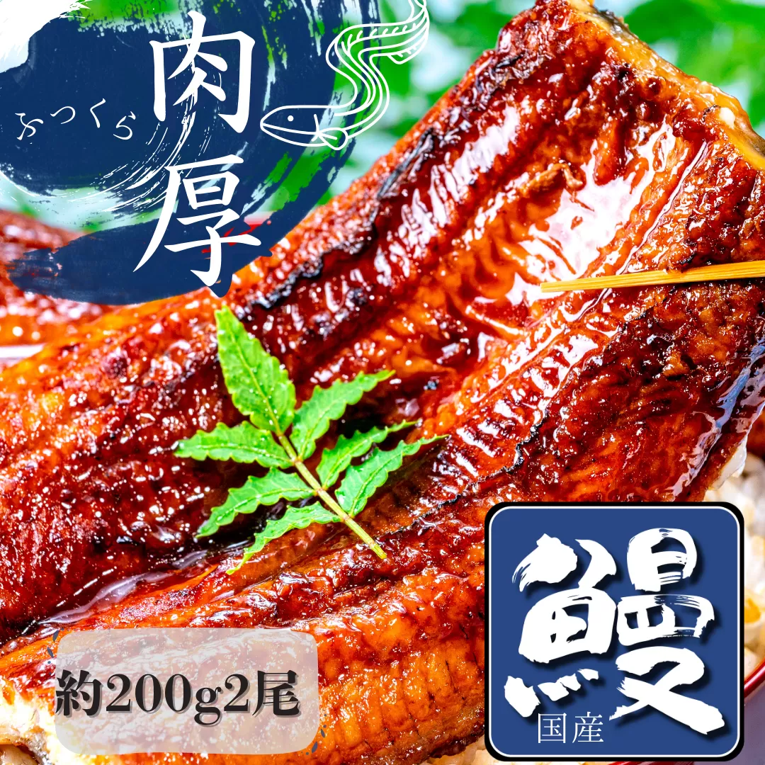 熟練された職人が作る「炭火焼き　国産うなぎ蒲焼」大サイズ約200g×2尾【配送不可地域：離島】【1378495】