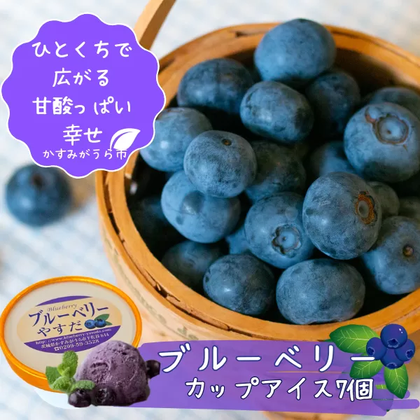 『ブルーベリーやすだ』の濃厚ブルーベリーアイス　7個セット