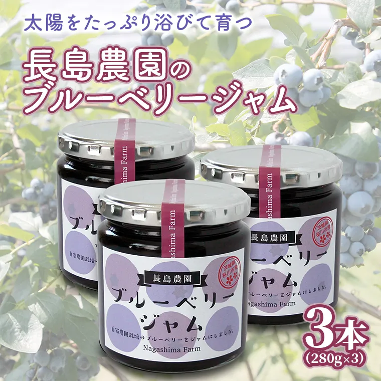 ブルーベリージャム 3本 ジャム ブルーベリー 国産 茨城県産 [AK006sa]