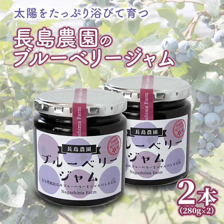 ブルーベリージャム 2本 ジャム ブルーベリー 国産 茨城県産 [AK007sa]