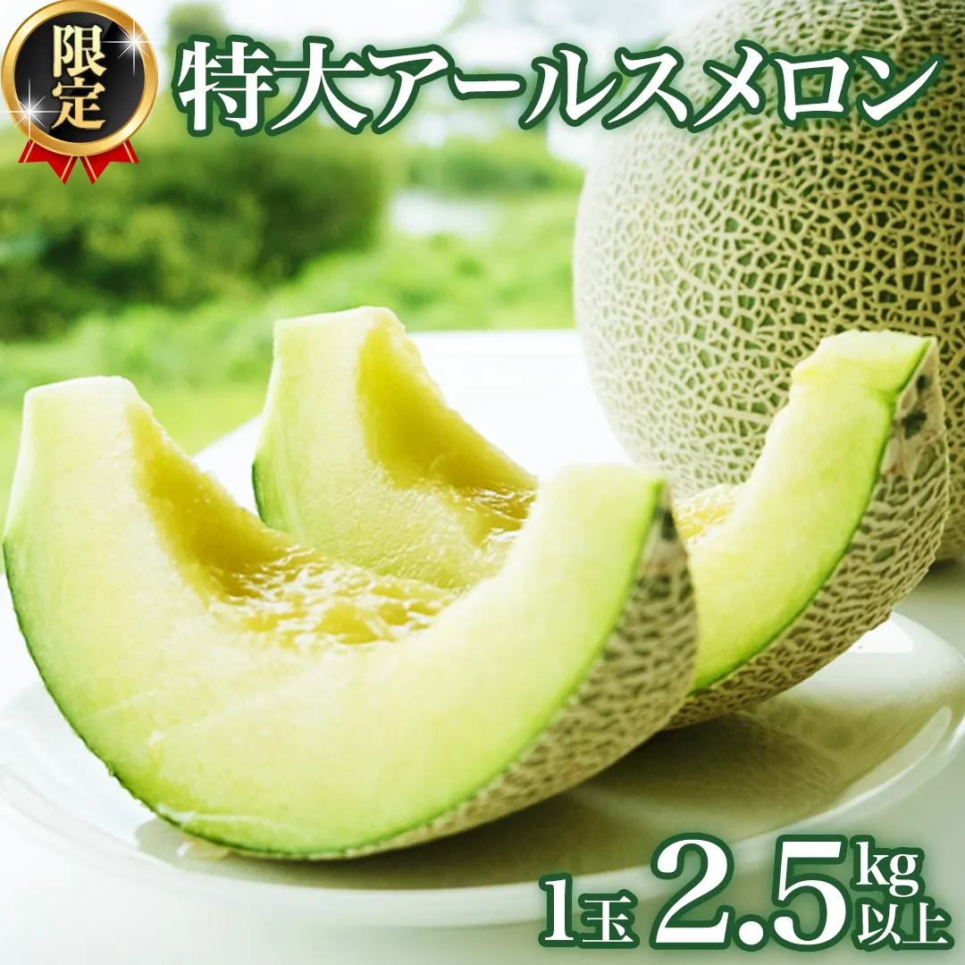 【2025年8月下旬発送開始】 季節 限定 ！ 甘さ満点 特大 アールスメロン 1個 箱 果物 フルーツ 農家直送 産直 青肉メロン 特産品 マスクメロン メロン くだもの 茨城 [BC005sa]