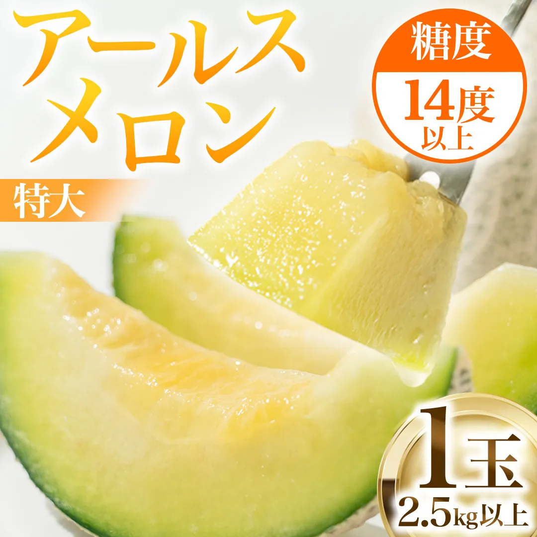 《 2027年 発送 》 特大 アールスメロン 1玉 果物 フルーツ 青肉メロン マスクメロン メロン [BC005sa]
