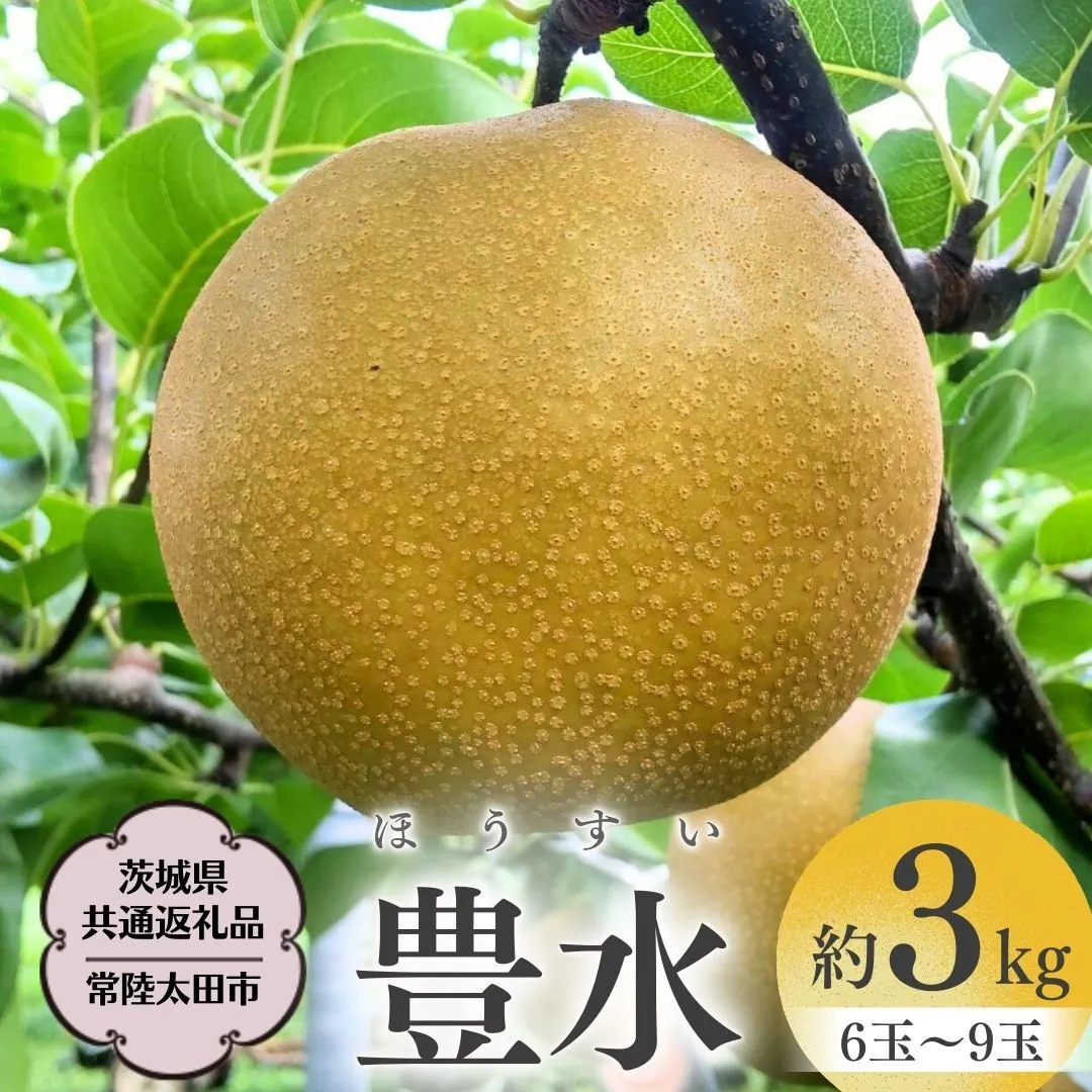 【2026年8月下旬発送開始】 茨城県産 梨 「 豊水 」 約 3kg 6玉 ～ 9玉【茨城県共通返礼品／常陸太田市】 桧山果樹園 農家直送 桧山果樹園 農家直送 フルーツ  甘い 直送 茨城 限定 ギフト 梨 豊水 ほうすい 果物 [DU003sa]