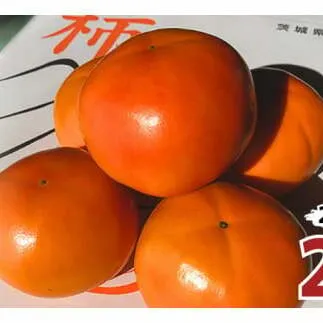 【 先行予約 10月下旬以降発送 】富有柿 2L 28玉 (茨城県共通返礼品 石岡市) 果物 くだもの フルーツ 柿 かき [DC004sa]	