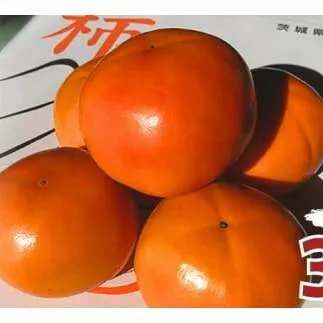 【今年のお届け分、締切間近！】 富有柿 L 32玉 (茨城県共通返礼品 石岡市) 果物 くだもの フルーツ 柿 かき [DC002sa]	