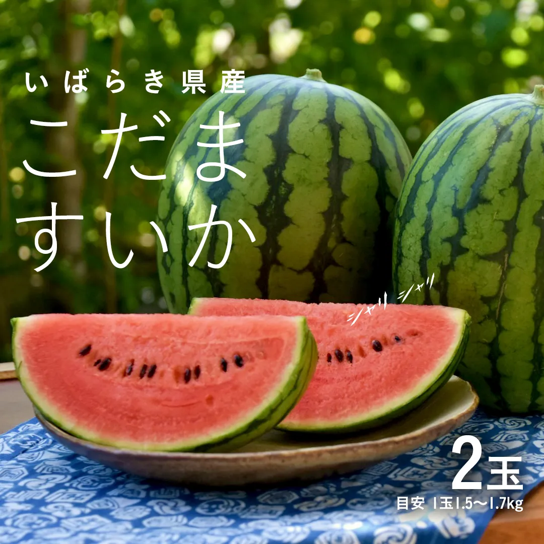 こだますいか 2玉 《2026年5月中旬から発送開始》 小玉すいか こだますいか 小玉 スイカ 西瓜 果物 フルーツ 茨城 農家直送 産地直送 [BQ016sa]