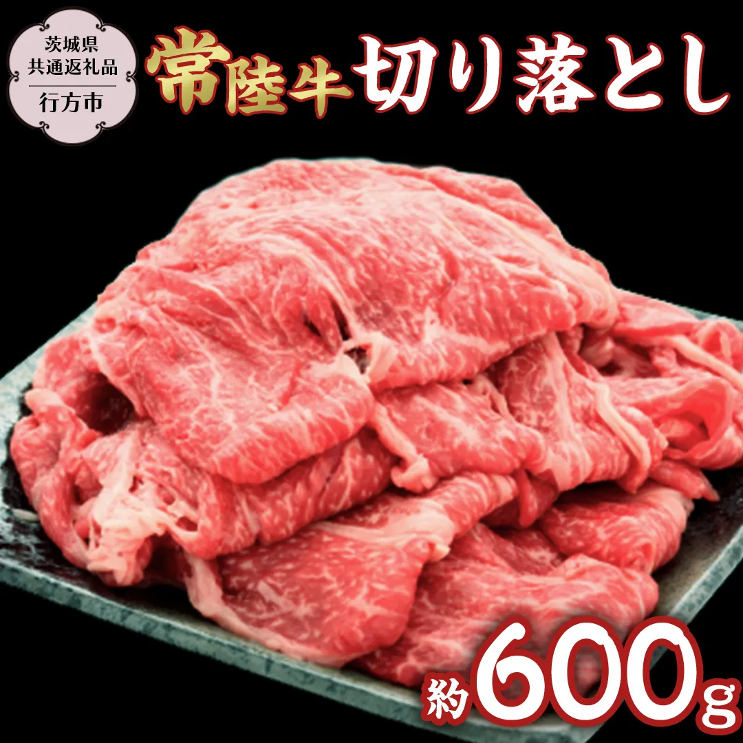 常陸牛切り落とし約600g 【茨城県共通返礼品】 常陸牛 ブランド牛 [DS013sa]	