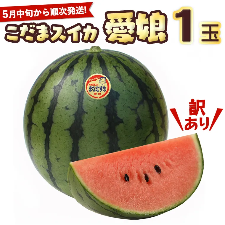【訳あり】 際まで甘い こだまスイカ 愛娘 （１玉） 【2026年5月中旬より発送開始】 スイカ 西瓜 旬 旬の果実 旬のフルーツ くだもの 果実 フルーツ 夏 小玉スイカ 小玉 果物 美味しい [BC060sa]