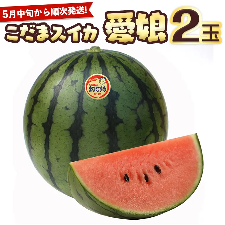 こだまスイカ　愛娘（２玉）【2026年5月中旬より発送開始】 際まで甘いこだまスイカ すいか スイカ 西瓜 甘い [BC030sa]