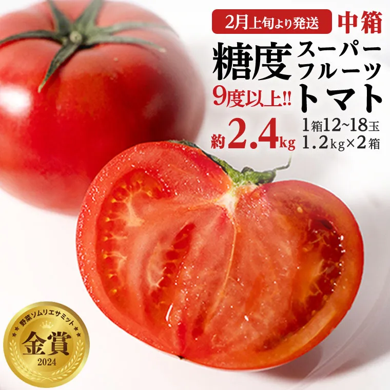 《 2026年収穫分 先行予約 》 糖度9度以上 スーパーフルーツトマト 中箱 約1.2kg × 2箱  (12～18玉/1箱) フルーツトマト ブランドトマト 野菜 ギフト 贈答 [BC014sa]