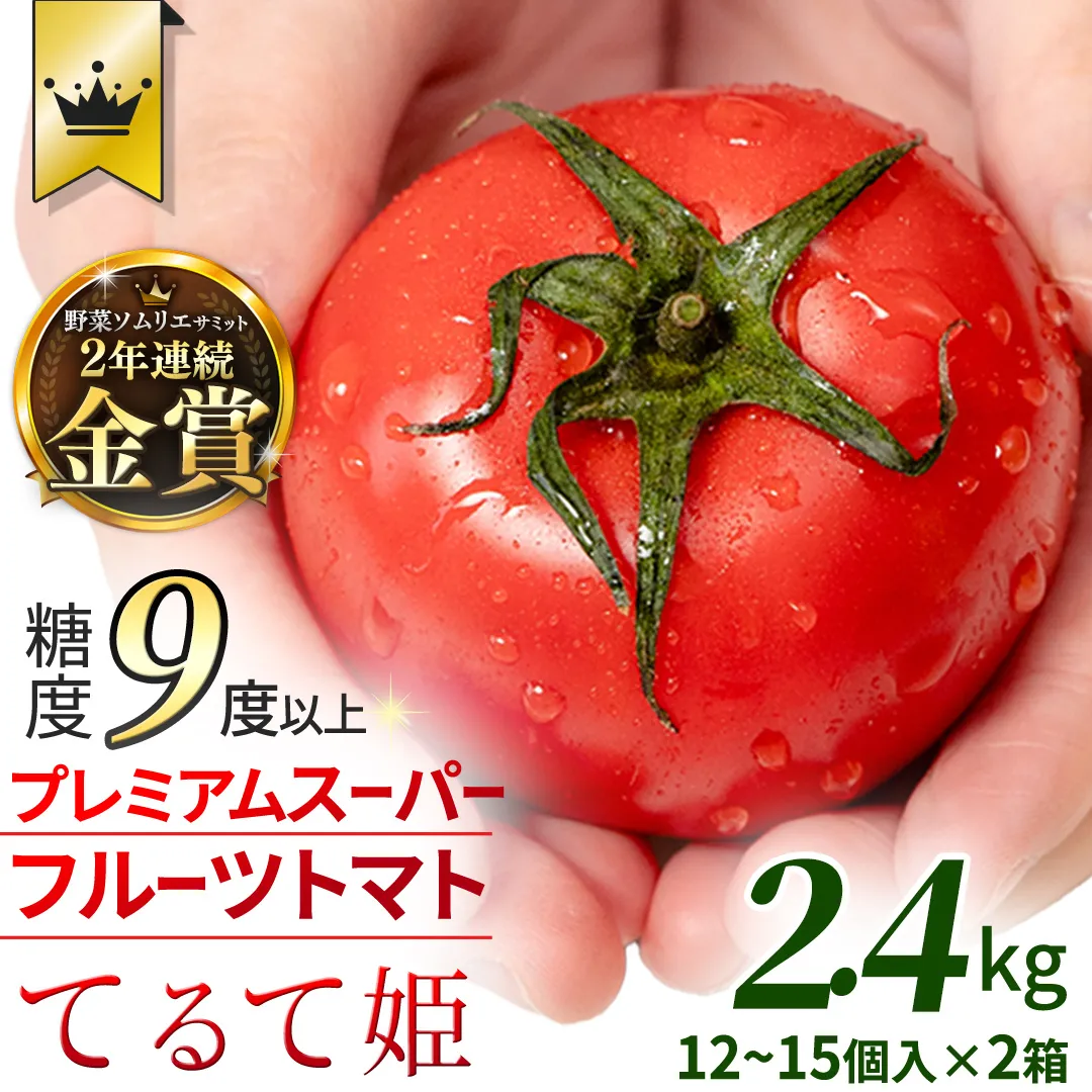 《 2027年 収穫分 》2～6月配送 スーパーフルーツトマト てるて姫 中箱  約1.2kg×2箱【12〜15玉/1箱】 糖度9度以上 先行予約 フルーツトマト ブランドトマト 野菜 ギフト 贈答 青空レストラン アド街ック天国 グッドモーニング 黄金のワンスプーン 昼めし旅 [BC034sa]