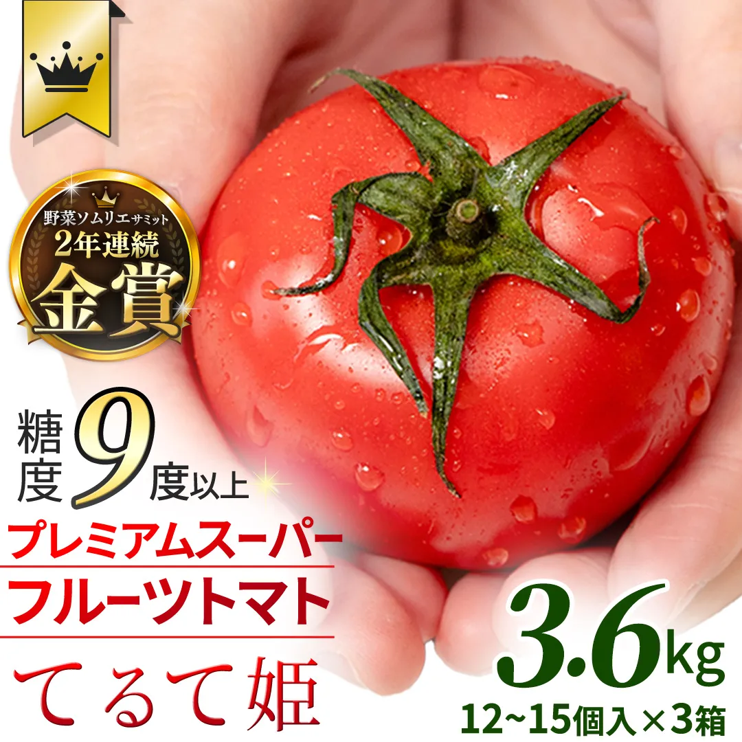 《 2027年 収穫分 》2～6月配送 スーパーフルーツトマト てるて姫 中箱  約1.2kg×3箱【12〜15玉/1箱】 糖度9度以上 先行予約 フルーツトマト ブランドトマト 野菜 ギフト 贈答 青空レストラン アド街ック天国 グッドモーニング 黄金のワンスプーン 昼めし旅 [BC035sa]