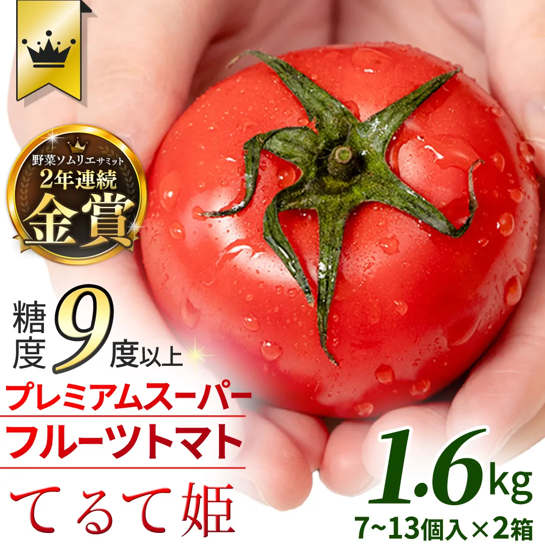 《 2027年 収穫分 》2～6月配送 スーパーフルーツトマト てるて姫 約800g×2箱【7〜13玉/1箱】 糖度9度以上 先行予約 フルーツトマト ブランドトマト 野菜 ギフト 贈答 青空レストラン アド街ック天国 グッドモーニング 黄金のワンスプーン 昼めし旅 [BC036sa]