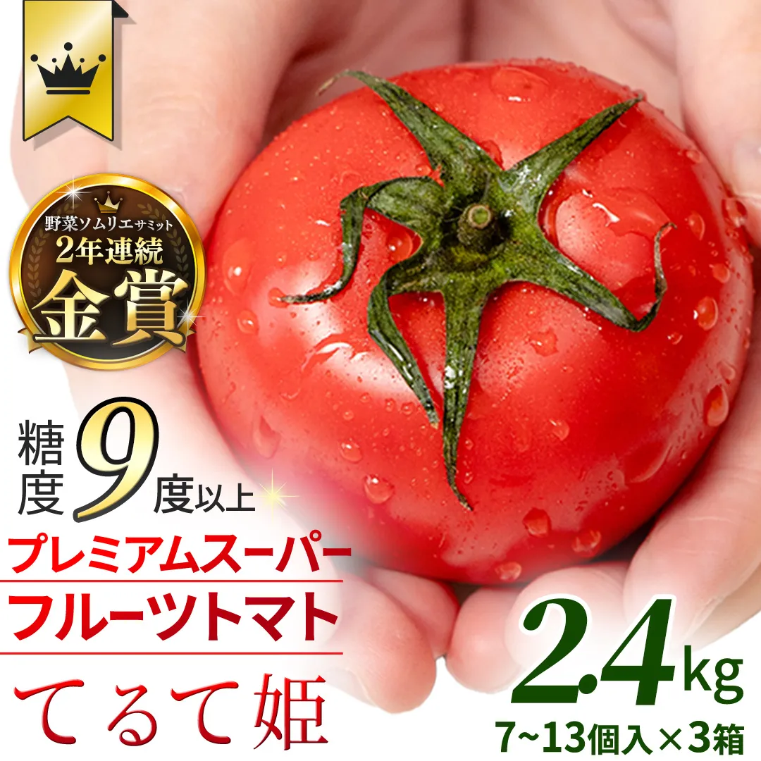 《 2027年 収穫分 》2～6月配送 スーパーフルーツトマト てるて姫 約800g×3箱【7〜13玉/1箱】 糖度9度以上 先行予約 フルーツトマト ブランドトマト 野菜 ギフト 贈答 青空レストラン アド街ック天国 グッドモーニング 黄金のワンスプーン 昼めし旅 [BC037sa]