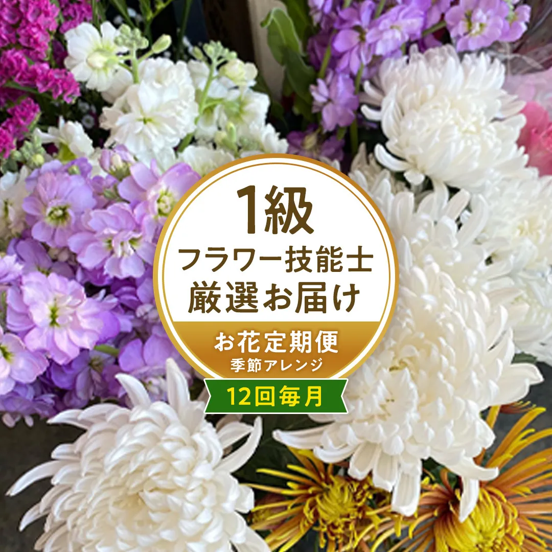 【お花の 定期便 】「毎月」届く、季節の フラワー アレンジメント ( 合計 12回 ) 花 生花 お祝い 結婚祝い 誕生日 プレゼント ギフト フラワーギフト [CY005sa]