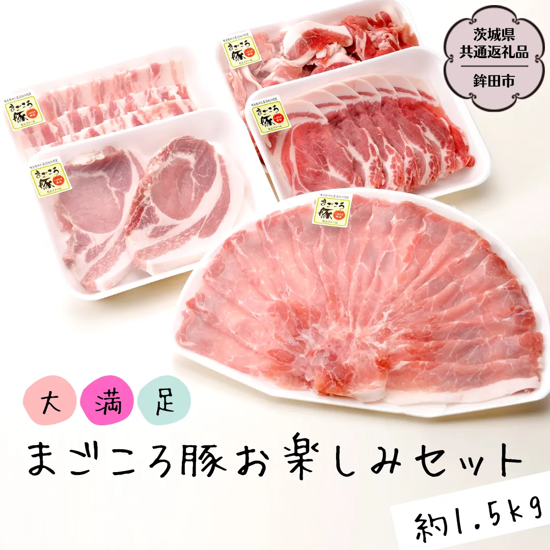 大満足！まごころ豚 お楽しみ セット 約1.5kg（茨城県共通返礼品 鉾田市） ブランド豚 銘柄豚 豚肉 モモしゃぶしゃぶ 肩ロース バラ ロース こま切れ 焼肉 しょうが焼 仲田精肉店 [DB001sa]