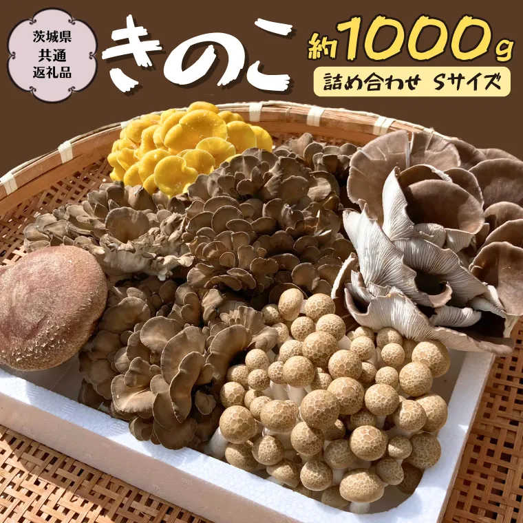 きのこ の 詰め合わせ Sサイズ  約1000g 【茨城県共通返礼品 城里町】 キノコ 舞茸 あわび茸 たもぎ茸 しいたけ ぶなしめじ  [CX001sa]