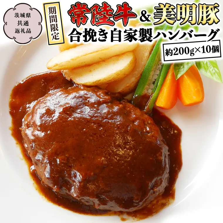 【期間限定】常陸牛 & 美明豚 の合挽き自家製 ハンバーグ (茨城県共通返礼品 行方市) 国産 和牛 銘柄 お手頃 惣菜 グルメ 茨城県 料理 [CV015sa]