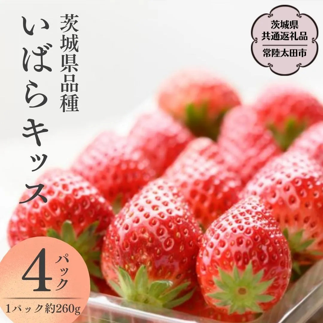 【 2026年 先行予約 】いばらキッス(4パック×1箱)（茨城県共通返礼品／常陸太田市） 茨城県品種 2026年1月上旬発送開始 フルーツ 苺 イチゴ いちご 新鮮 朝採れ 茨城県 桧山FRUITFARM [DY001sa]