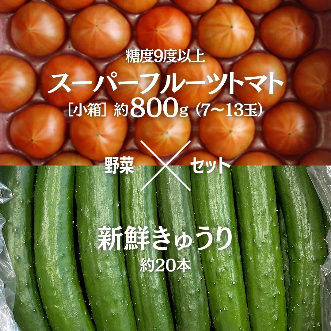 糖度9度以上 トマト 【 2025年収穫分 先行予約 】 スーパーフルーツトマト 小箱 約800g (7～13玉) 糖度9度以上 ＆ 新鮮 きゅうり 約20本 野菜セット 2025年2月上旬発送開始 とまと トマト 胡瓜 キュウリ 野菜 サラダ [BC064sa]