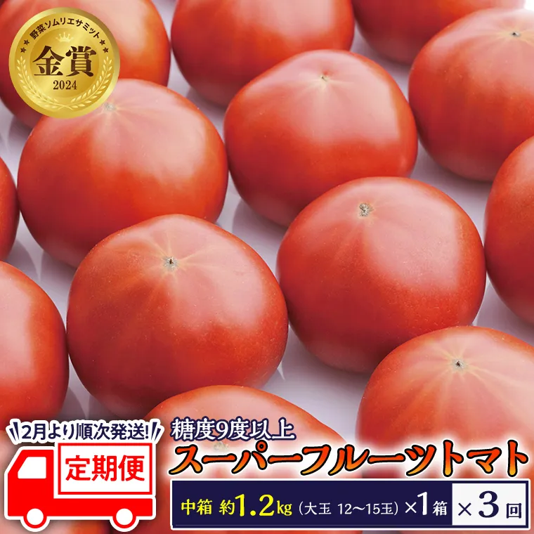 糖度9度以上 トマト 【 2025年収穫分 先行予約 】 【 定期便 】 スーパーフルーツトマト 中箱 約1.2kg×1箱×3回 お届け！ 糖度9度以上 フルーツトマト トマト 2025年2月上旬発送開始 とまと 野菜 [BC049sa]