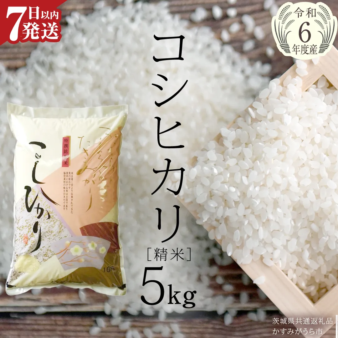 【 令和6年産 】 コシヒカリ 精米 5kg ( 5kg × 1袋 ) (茨城県共通返礼品 かすみがうら市) 米 ごはん もっちり 甘い コメ お米 白米 [EX001sa]