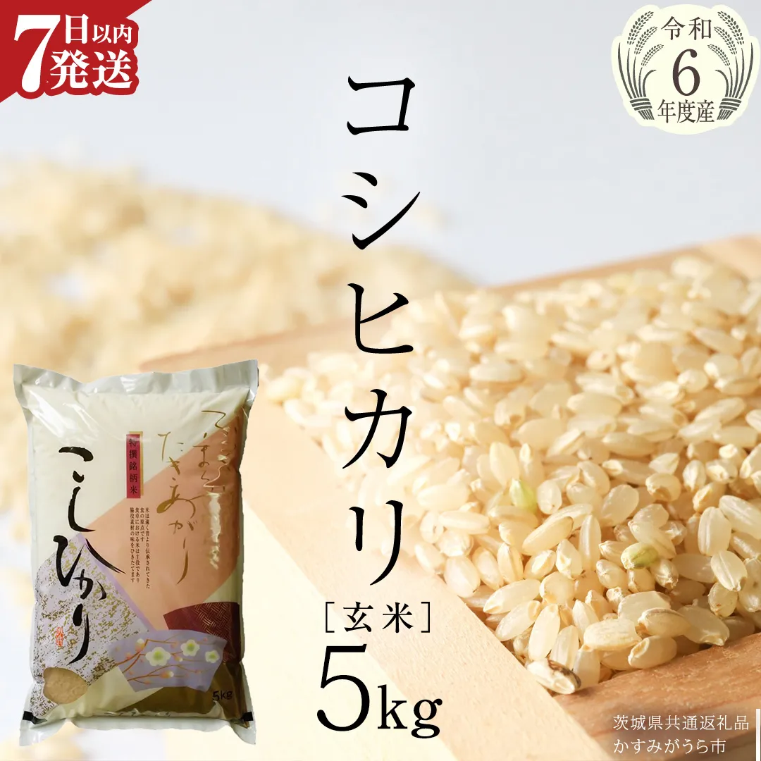 【 令和6年産 】 コシヒカリ 玄米 5kg ( 5kg × 1袋 ) (茨城県共通返礼品 かすみがうら市) 米 ごはん もっちり 甘い コメ お米 玄米 [EX003sa]