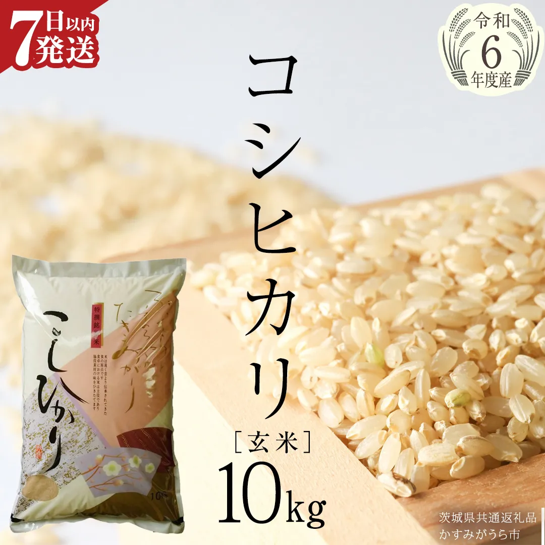 【 令和6年産 】 コシヒカリ 玄米 10kg ( 10kg × 1袋 ) (茨城県共通返礼品 かすみがうら市) 米 ごはん もっちり 甘い コメ お米 玄米 [EX004sa]
