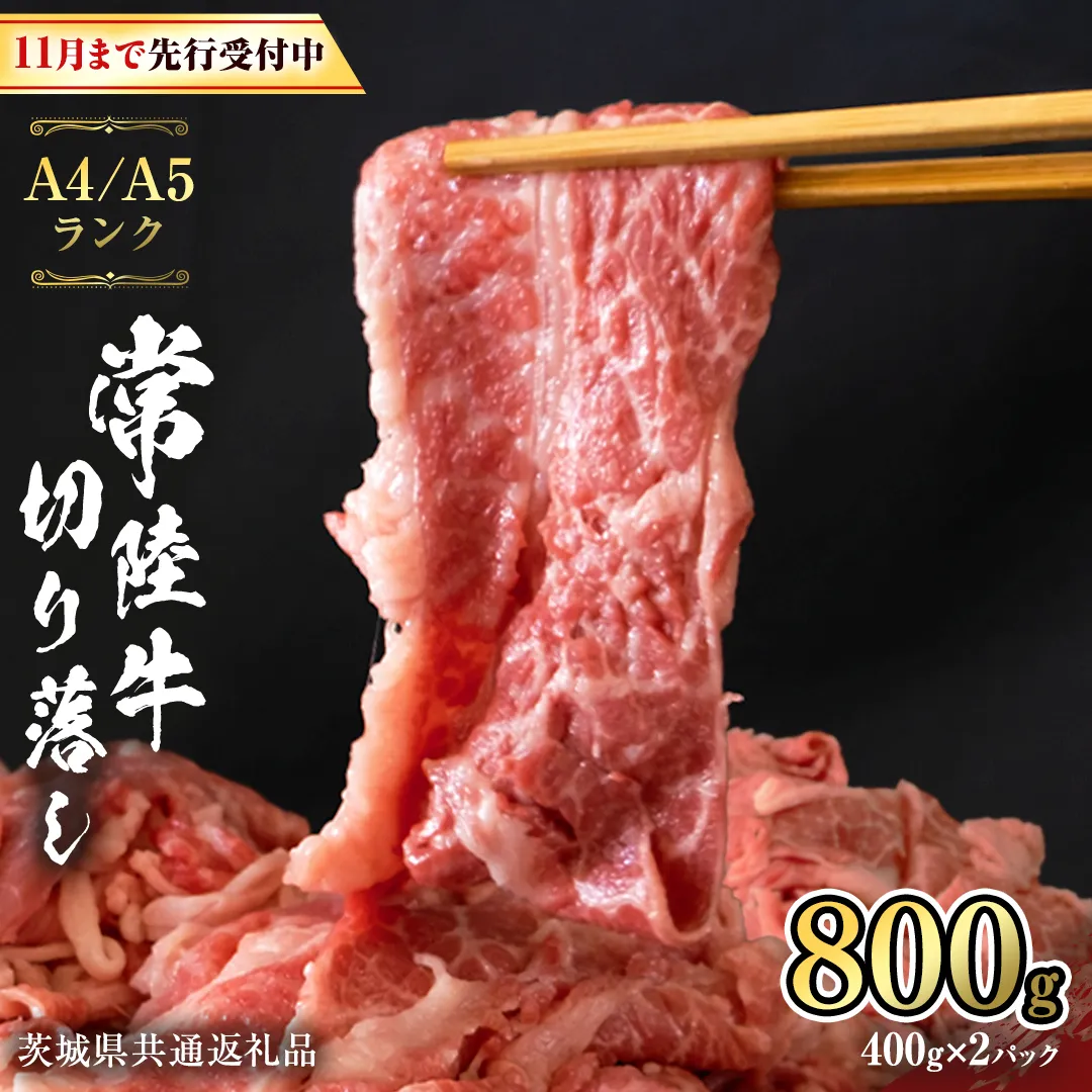【 2025年12月配送 限定 】 常陸牛 切り落とし 合計 800g ( 400g × 2袋 ) 使いやすい 小分け パック A4 A5 ランク [11月まで先行受付] 茨城県共通返礼品 黒毛和牛 国産黒毛和牛 和牛 国産 牛肉 牛 お肉 肉 ひたち牛  [CD035sa]