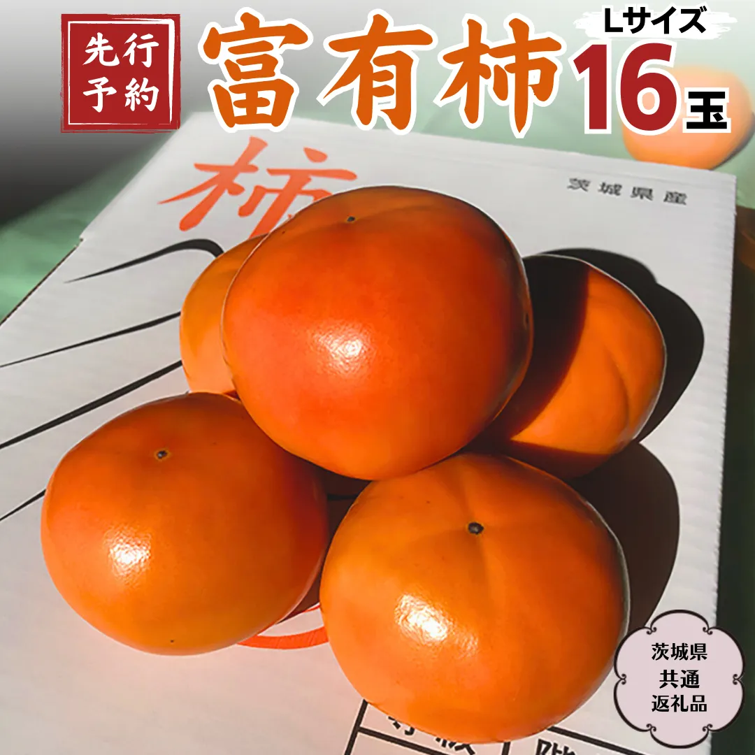 【 先行予約 2025年11月中旬以降発送 】富有柿 L 16玉 (茨城県共通返礼品 石岡市)  果物 くだもの フルーツ 柿 かき [DC001sa]