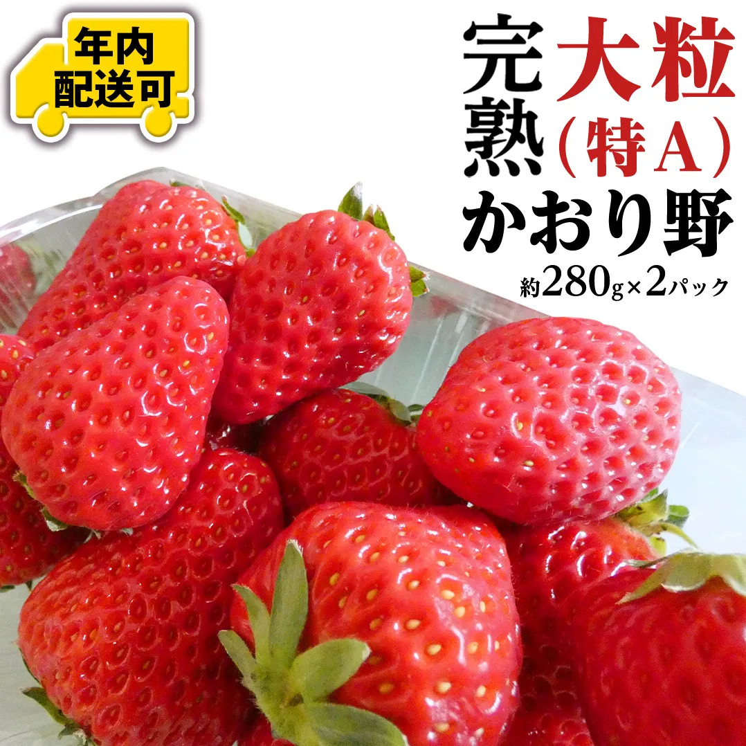 【12/22までの申込で年内にお届け！】 完熟 かおり野 約280g×2パック 年内お届け 国産 いちご イチゴ 苺 果物 フルーツ 茨城県産 KEK[BC081sa]