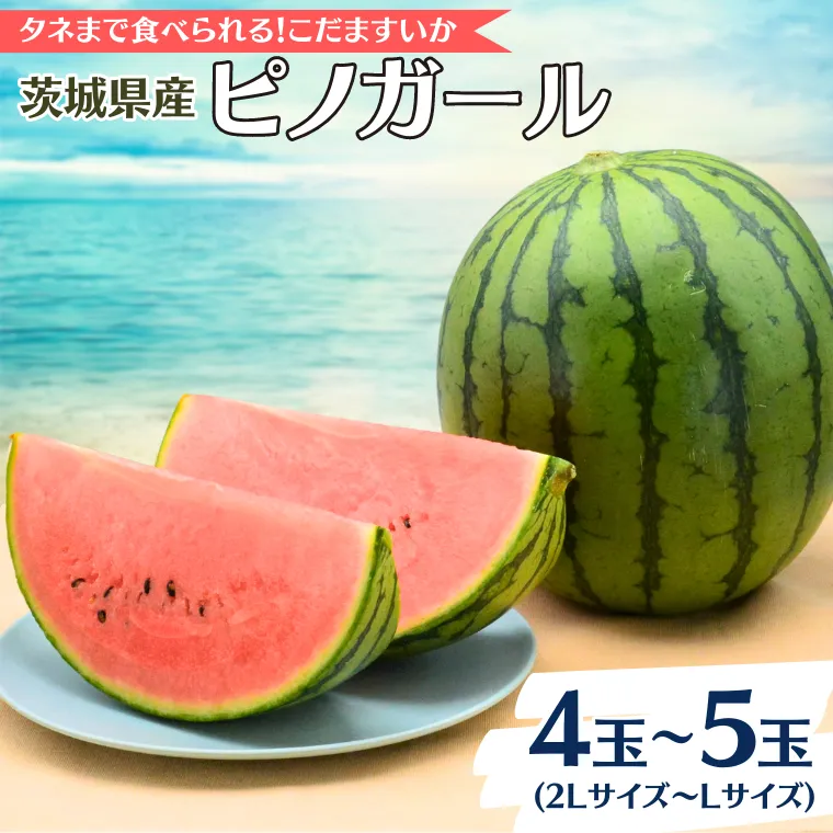 こだますいか ピノガール 4～5玉 《2026年5月中旬から発送開始》 すいか 小玉すいか 小玉 スイカ 果物 フルーツ[BQ017sa]