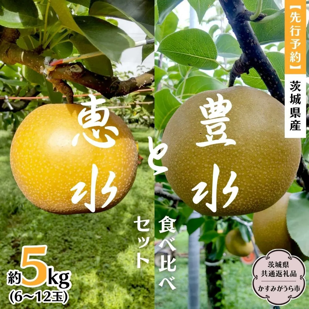 【先行予約】梨 豊水と恵水の食べ比べセット 約5kg (茨城県共通返礼品 かすみがうら市)  （2025年9月中旬発送開始） 産地直送 久保田果樹園 フルーツ 甘い 直送 茨城 限定 ギフト 梨 豊水 ほうすい 恵水 けいすい 食べ比べ 果物 [DH016sa]
