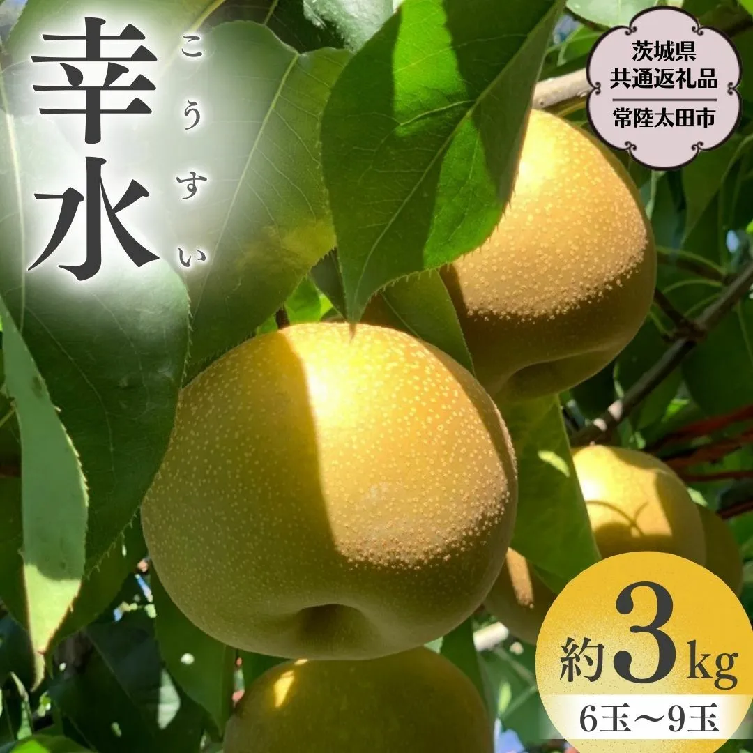【2025年8月中旬発送開始】 茨城県産 梨 「 幸水 」 約 3kg 6玉 ～ 9玉 【茨城県共通返礼品／常陸太田市】 桧山果樹園 農家直送 フルーツ 甘い 直送 茨城 限定 ギフト 梨 幸水 こうすい 果物 [DU001sa]