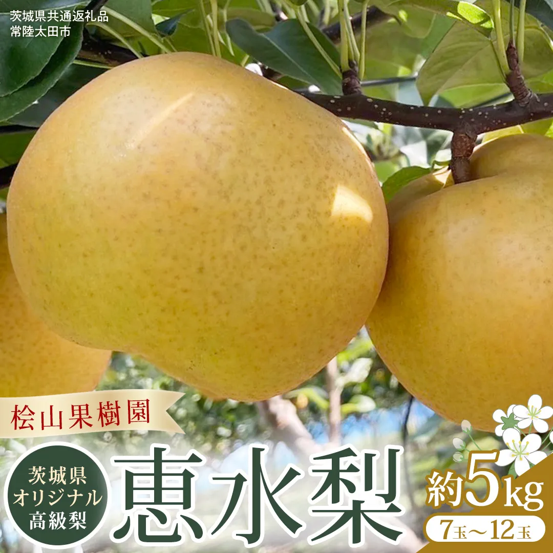【2026年9月上旬発送開始】 茨城県 オリジナル 幻の 高級梨 『 恵水 』 約 5kg 7玉 ～ 12玉 【茨城県共通返礼品／常陸太田市】 桧山果樹園 農家直送 桧山果樹園 農家直送 フルーツ  甘い 直送 茨城 限定 ギフト 梨 恵水 けいすい 果物 [DU008sa]