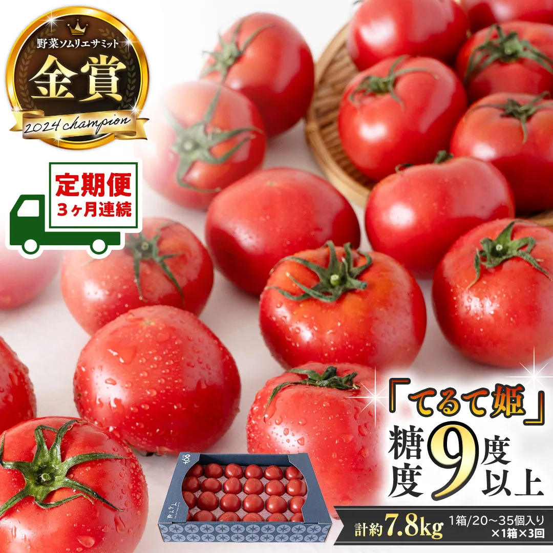 糖度9度以上【定期便】スーパーフルーツトマト てるて姫 大箱 約2.6kg×1箱×3回 糖度9度以上 先行予約 定期便 3ヶ月 茨城県 桜川市 KEK 国産 トマト フルーツトマト ブランドトマト 野菜 ギフト 贈答 青空レストラン アド街ック天国 グッドモーニング 黄金のワンスプーン 昼めし旅 [BC087sa]
