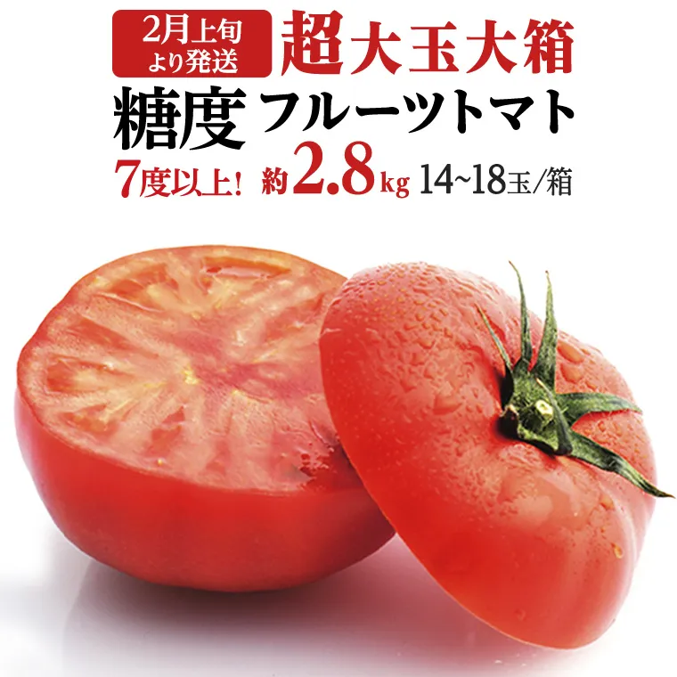 《 2027年 収穫分 》2～6月配送 超大玉 フルーツトマト 大箱 約2.8kg × 1箱 (14～18玉/1箱) 糖度7度以上 先行予約 茨城県 桜川市 KEK 国産 トマト ブランドトマト 野菜 ギフト 贈答 [BC021sa]
