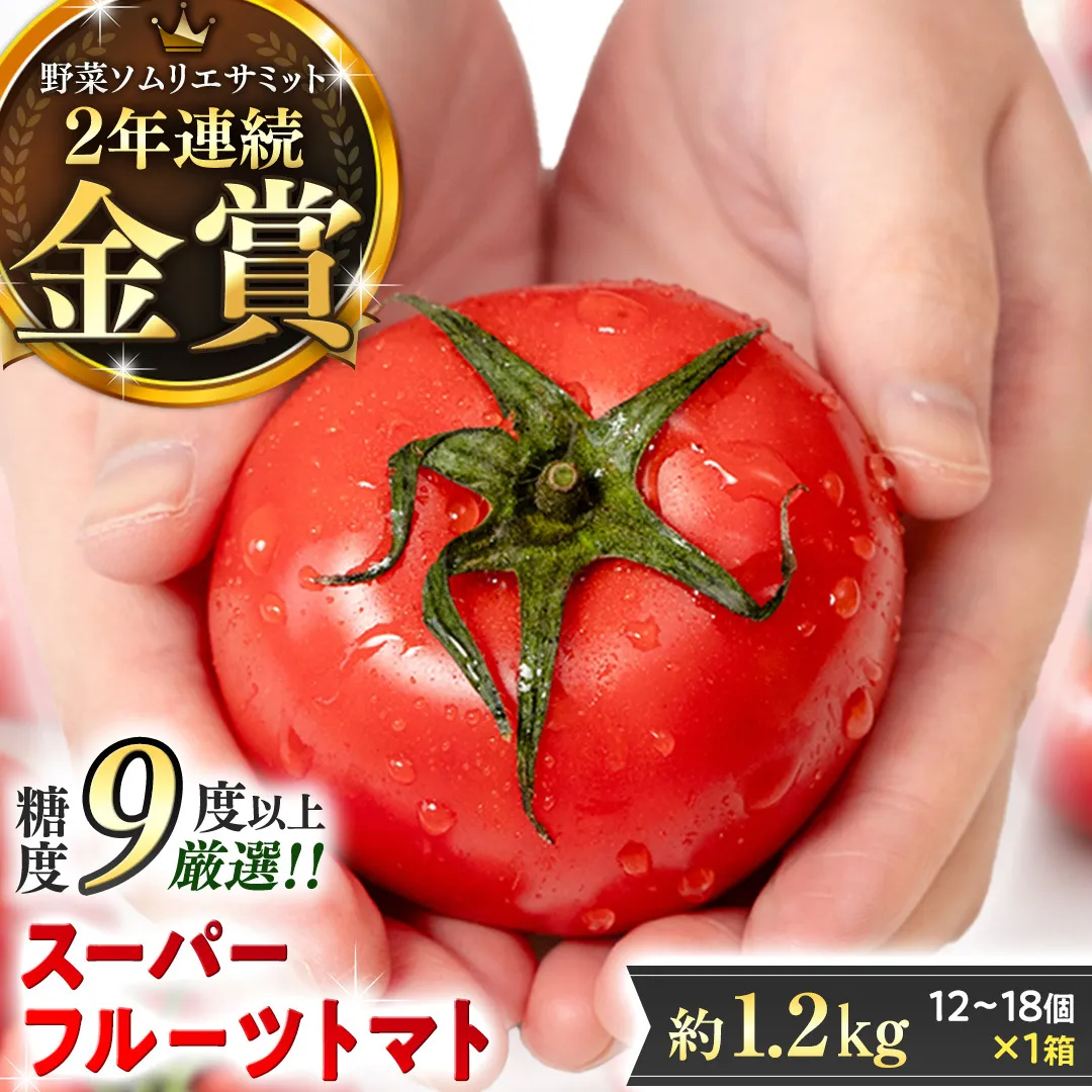 《 2026年収穫分 先行予約 》 糖度9度以上 スーパーフルーツトマト 中箱 約1.2kg × 1箱 (12～18玉/1箱) フルーツトマト ブランドトマト 野菜 ギフト 贈答 [BC002sa]