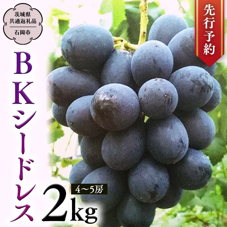 【 2025年9月上旬発送開始 】 BKシードレス 約2kg (茨城県共通返礼品 石岡市） 開田ぶどう園 産地直送 フルーツ 甘い 直送 茨城 限定 ギフト ぶどう BKシードレス 果物 [DO009sa]