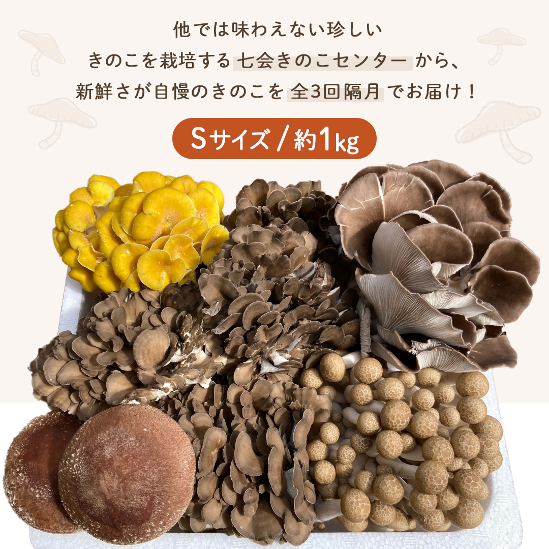 全3回 隔月定期便 》 きのこ の 詰め合わせ Sサイズ 約1kg （茨城県