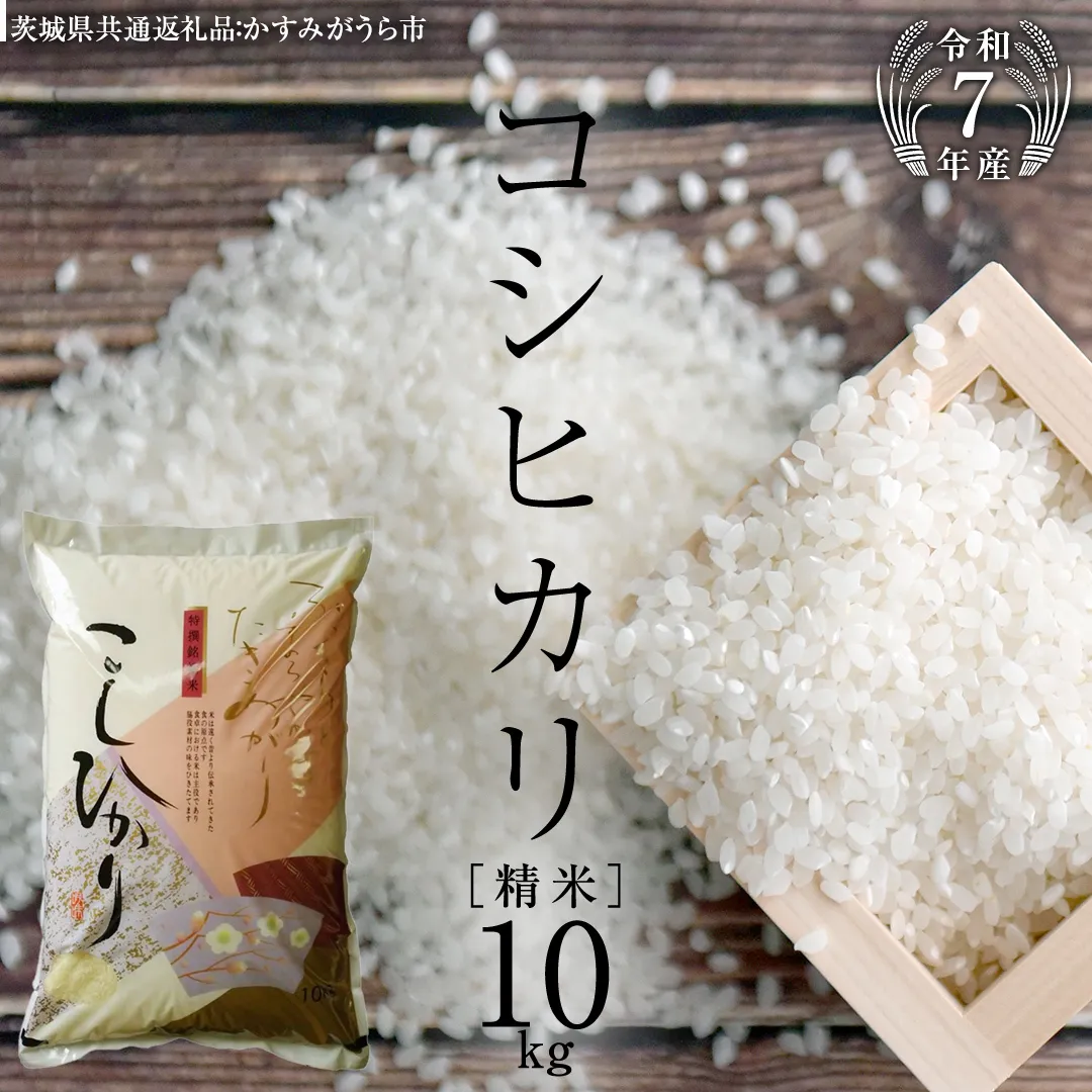 ≪ 令和7年度 新米 先行予約 ≫ コシヒカリ 精米 10kg ( 10kg × 1袋 ) (茨城県共通返礼品 かすみがうら市) 米 ごはん もっちり 甘い お米 白米 [EX002sa]