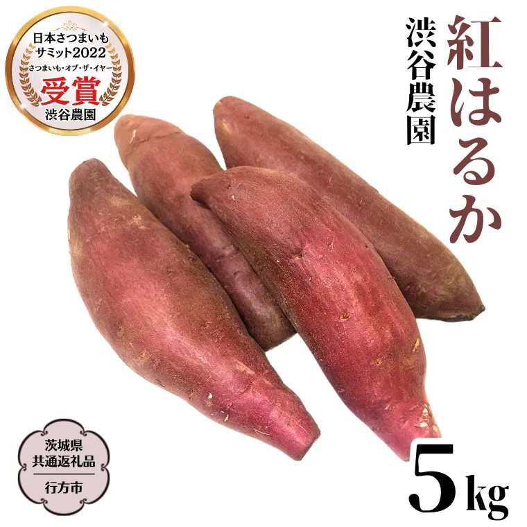 紅はるか 約5kg 【茨城県共通返礼品／行方市】 渋谷農園 さつまいも いも 芋 焼芋 [DT001sa]
