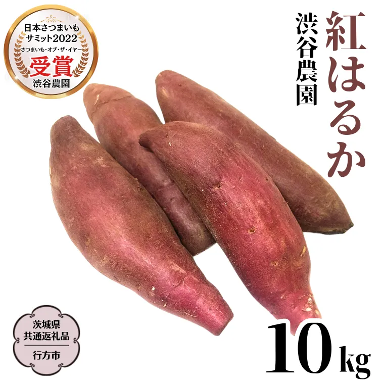 紅はるか 約10kg 【茨城県共通返礼品／行方市】 渋谷農園 さつまいも いも 芋 焼芋 [DT002sa]