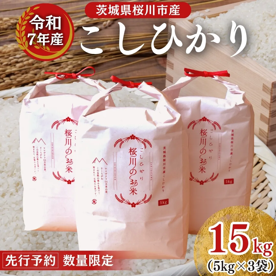 【生産者支援】 《令和7年産 先行予約》茨城県 桜川市産 こしひかり15kg（5kg×3袋） 茨城県産 桜川 米 お米 白米 コメ ごはん 精米 コシヒカリ 国産 限定 [SC011sa]