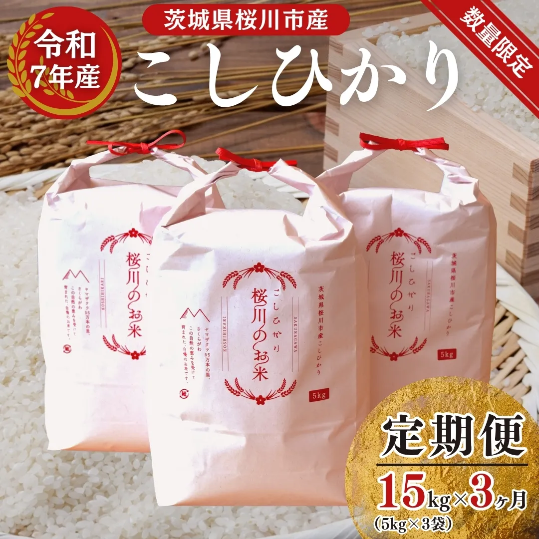 《 3ヶ月 定期便 先行予約 》【生産者支援】《 令和7年産 新米 》　茨城県桜川市産 こしひかり 15kg ( 5kg × 3袋 ) × 3回 茨城県産 桜川 米 お米 白米 コメ ごはん 精米 コシヒカリ 国産 限定 銘柄米  [SC035sa]